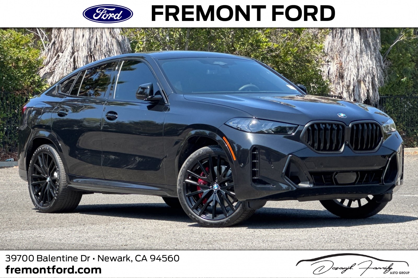 2025 BMW X6
