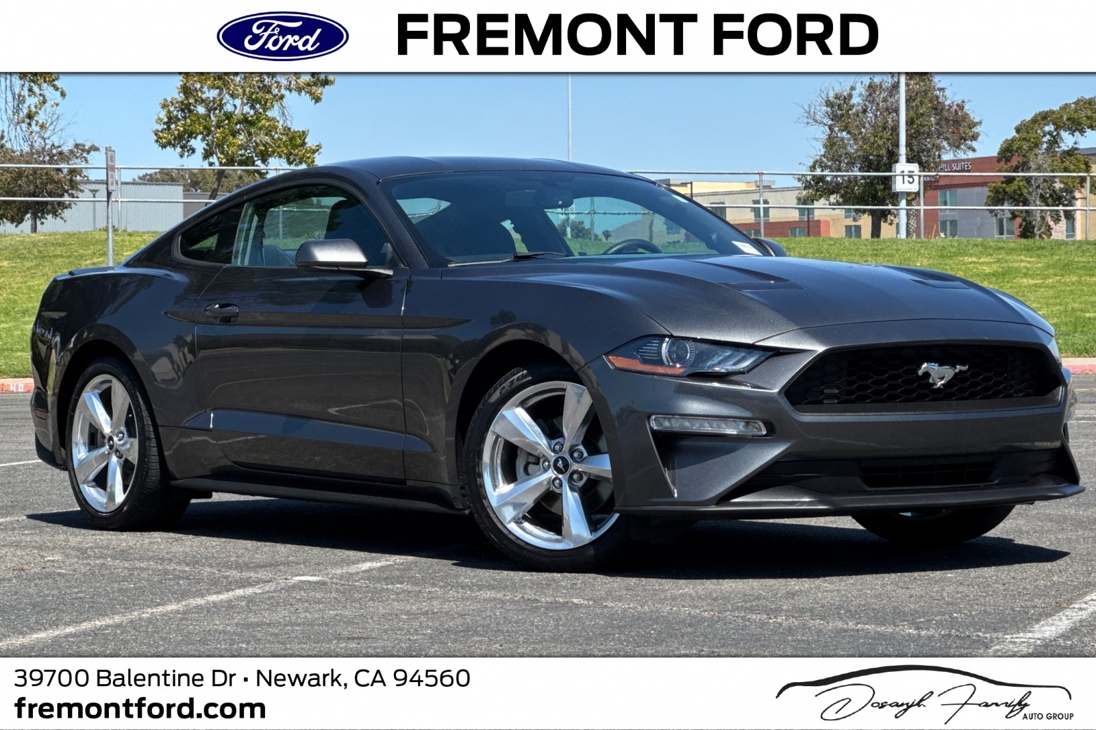 2019 Ford Mustang