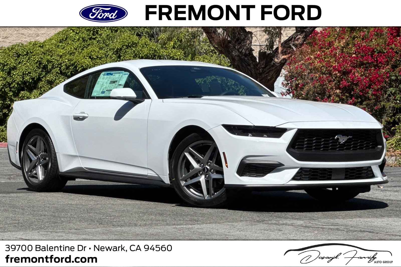 2025 Ford Mustang