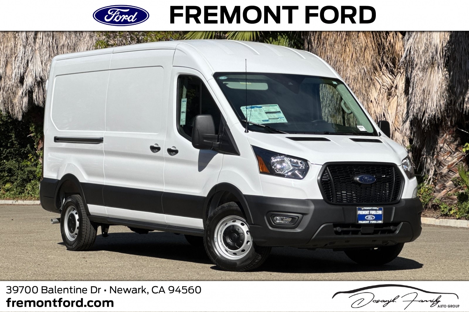 2025 Ford Transit Cargo Van