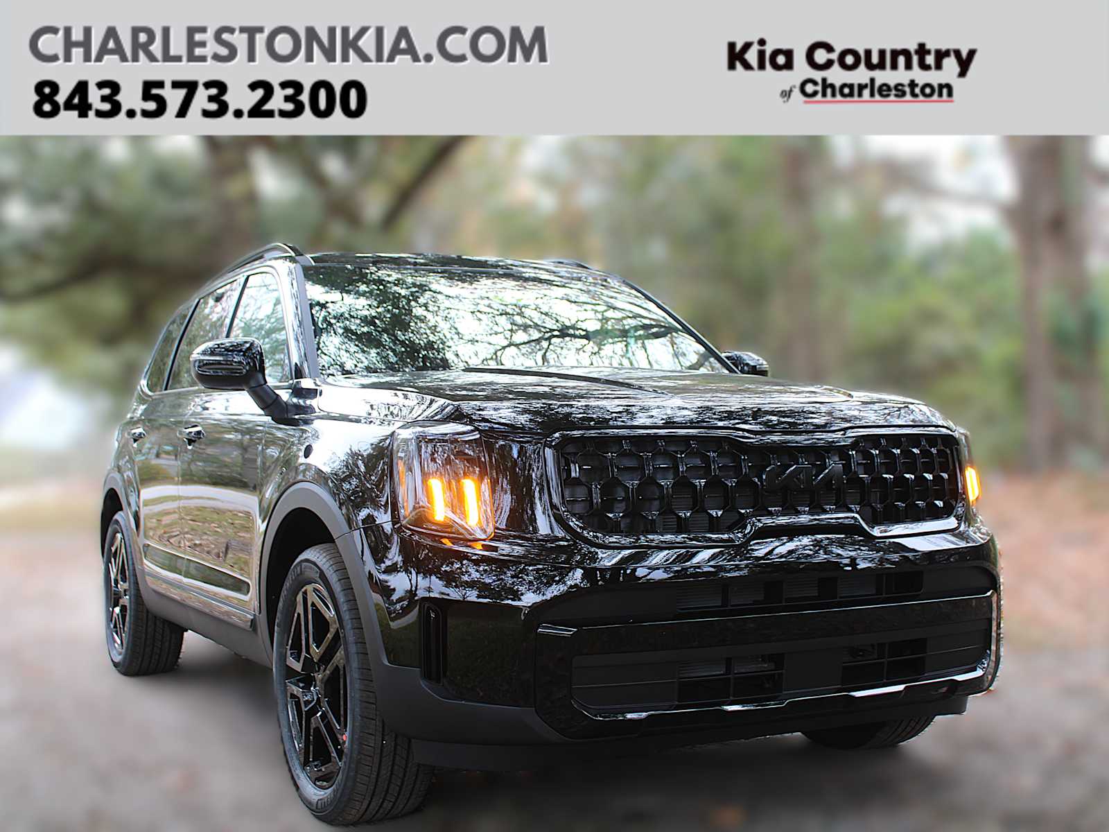 2025 Kia Telluride