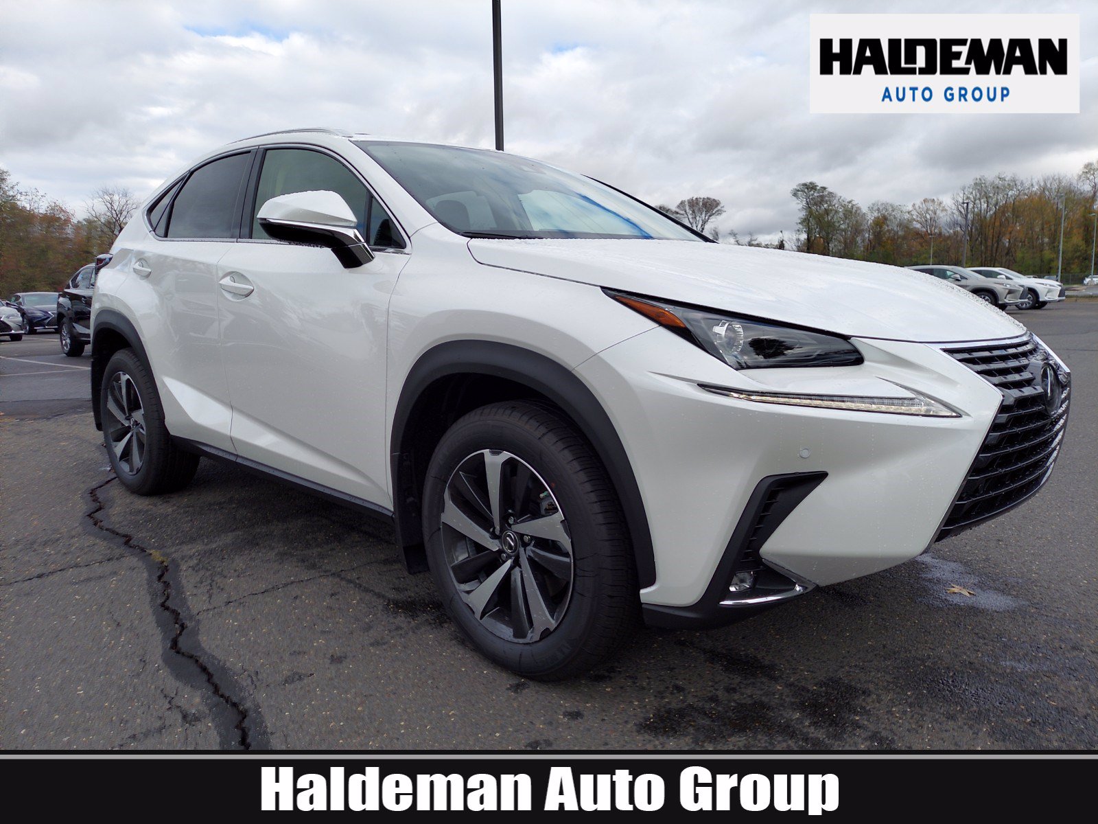 2021 Lexus NX