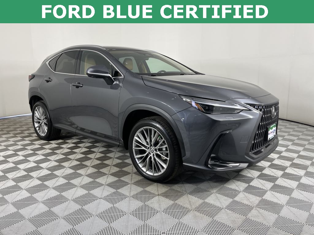 2024 Lexus NX