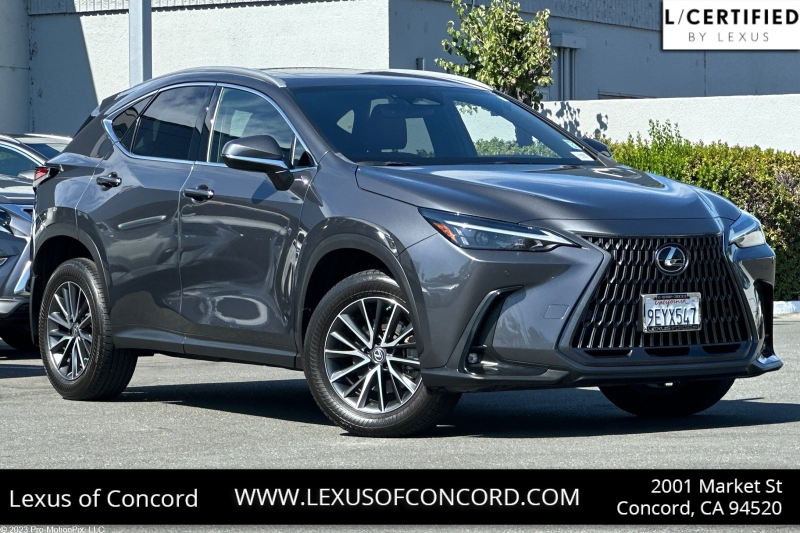 2023 Lexus NX