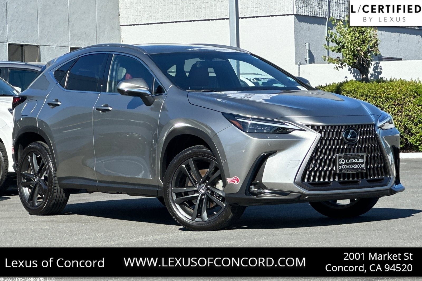 2022 Lexus NX