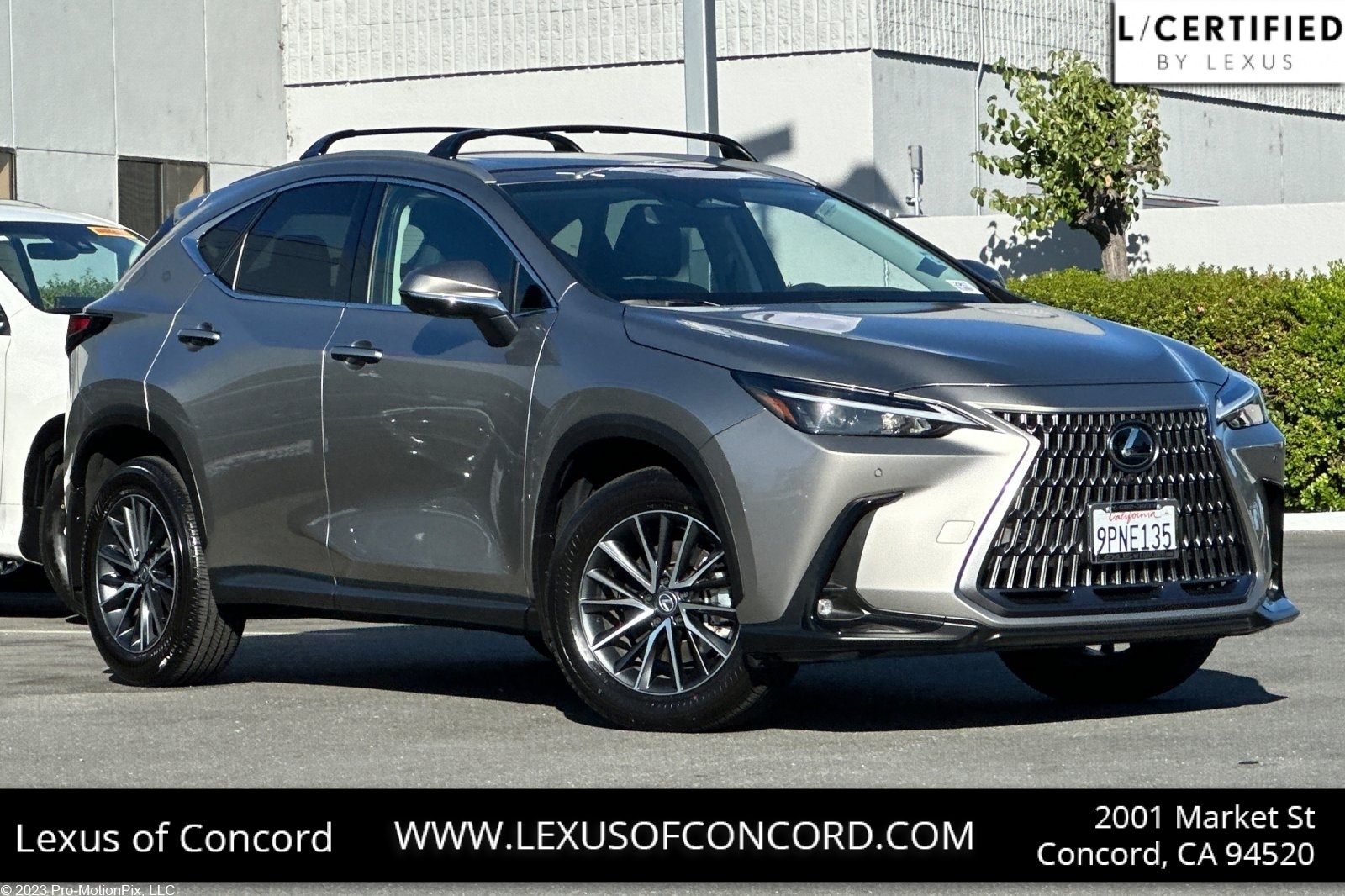 2025 Lexus NX
