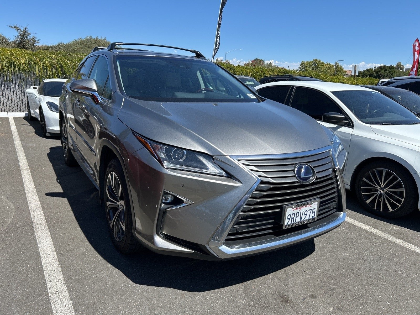2019 Lexus RX