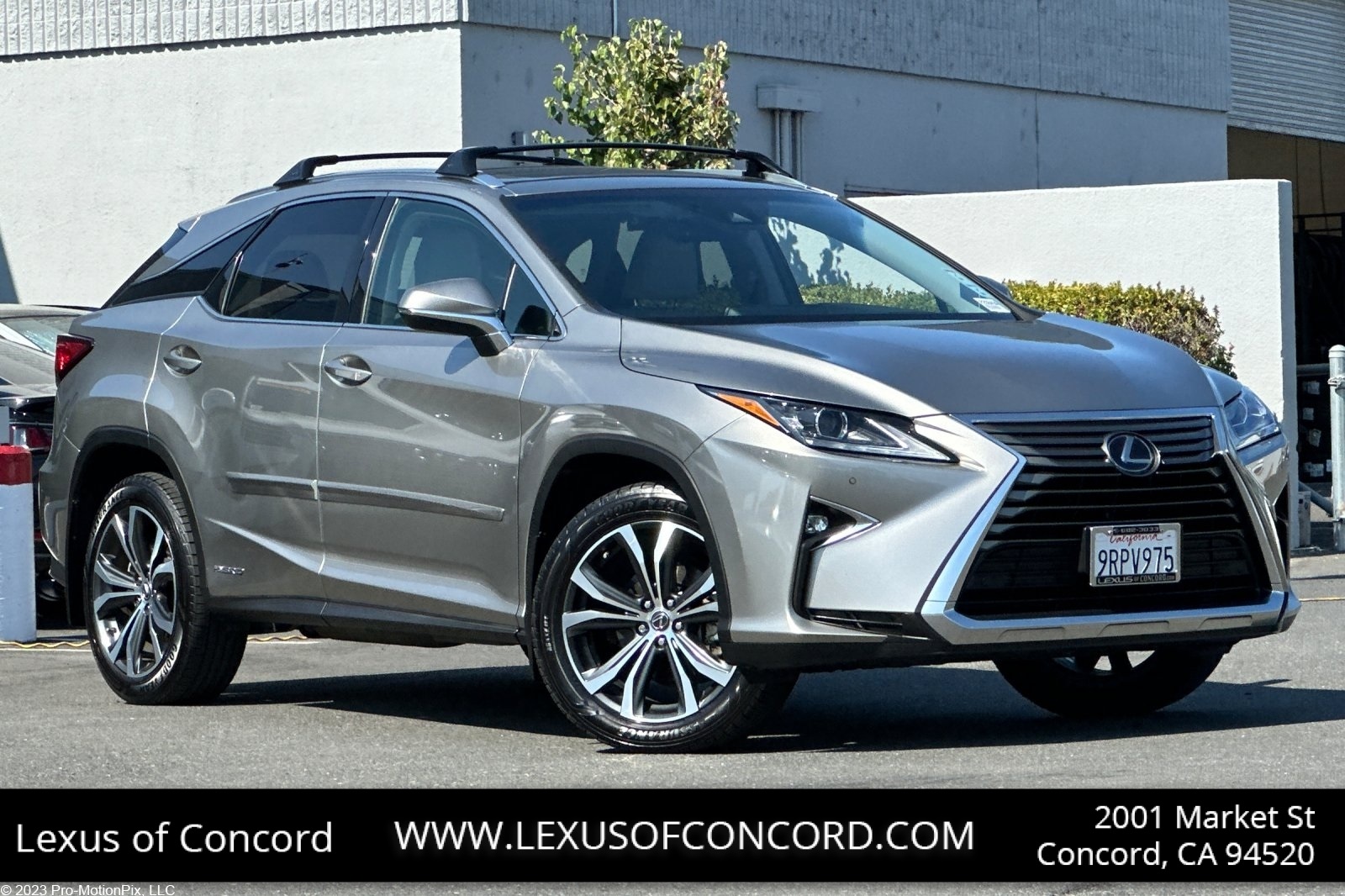 2019 Lexus RX