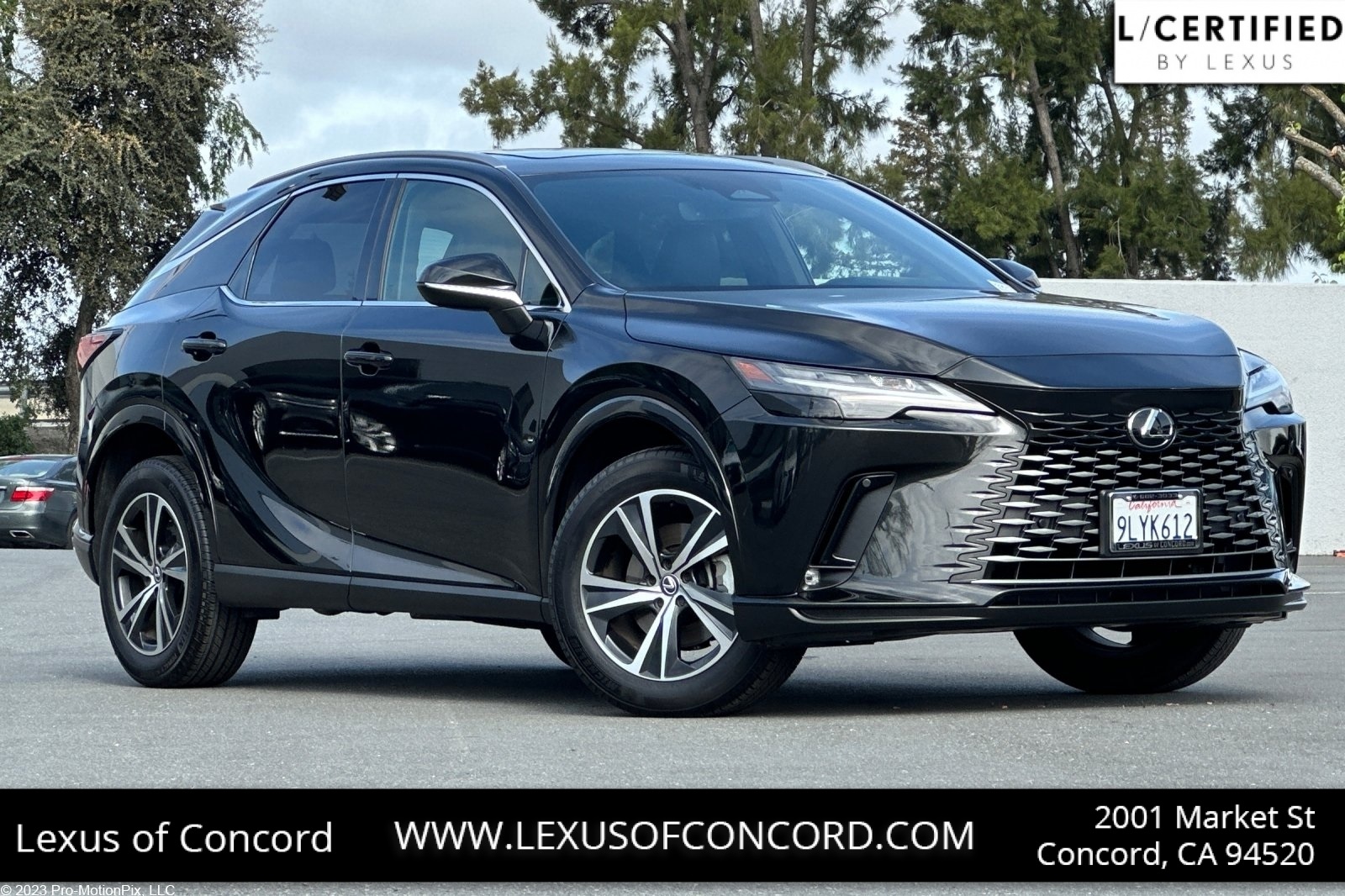 2024 Lexus RX
