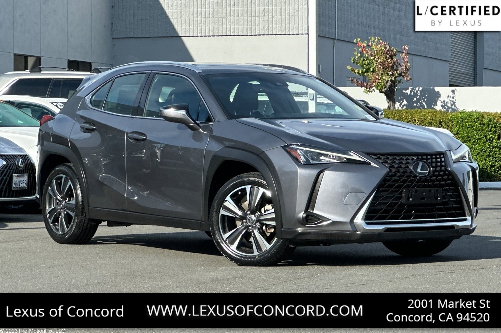 2020 Lexus UX
