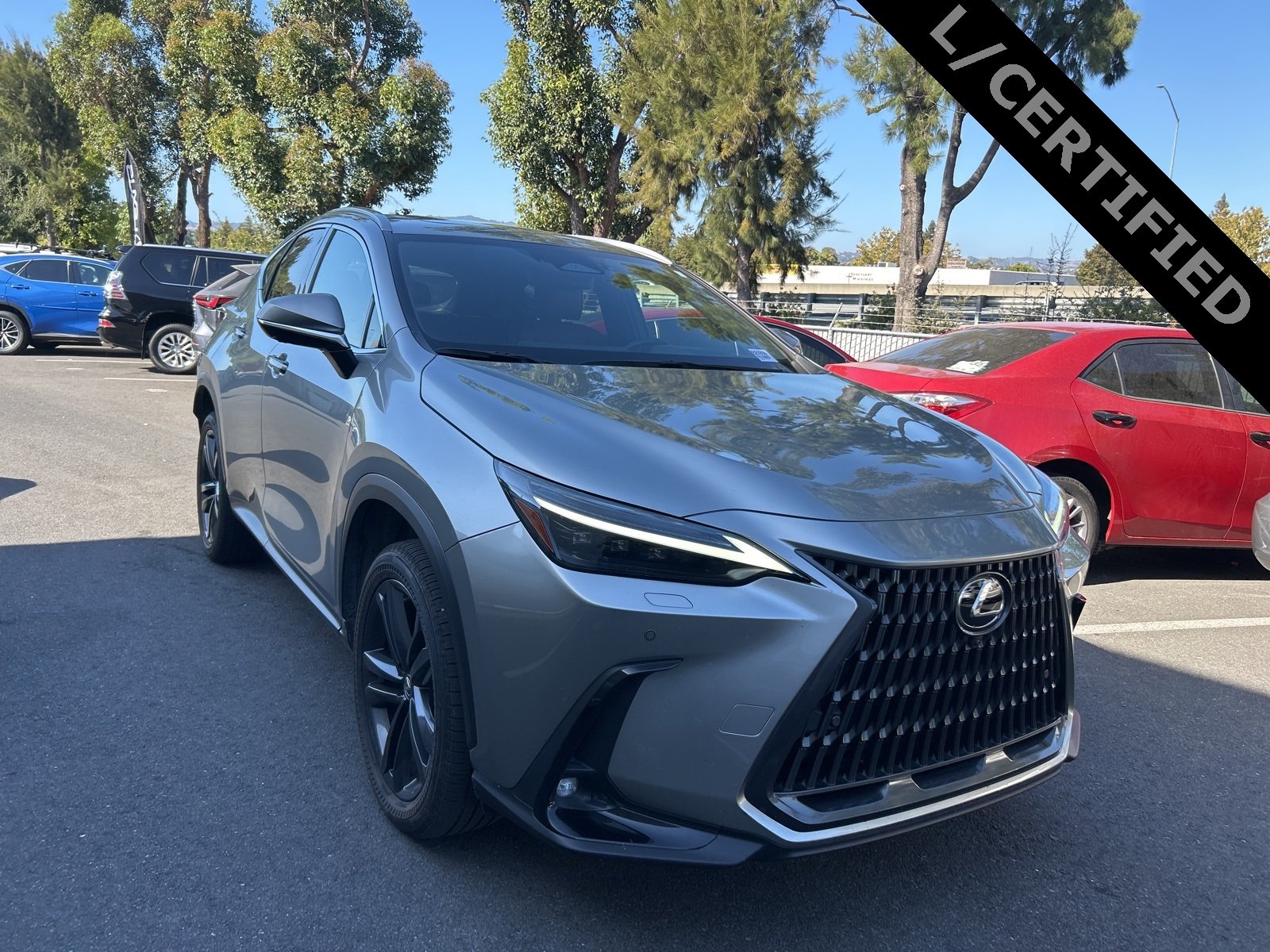 2024 Lexus NX