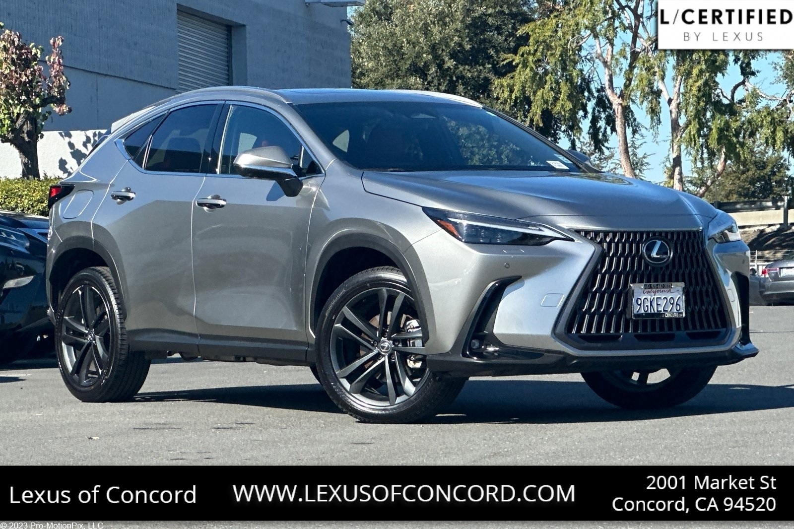 2024 Lexus NX