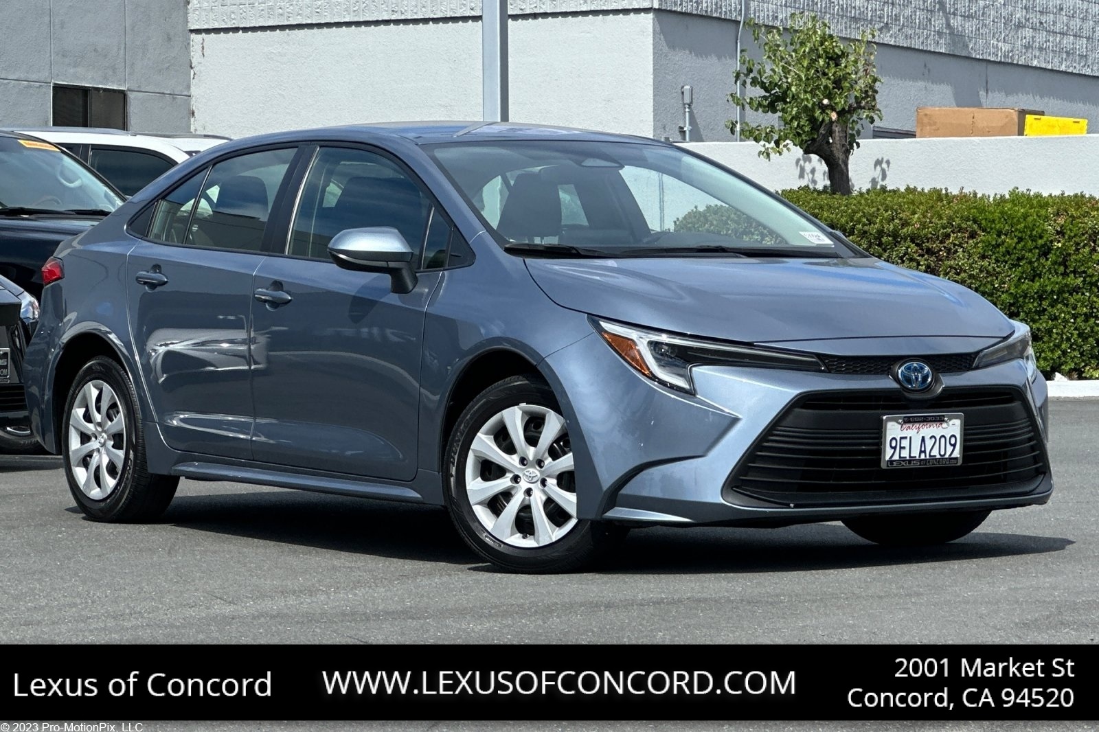 2023 Toyota Corolla