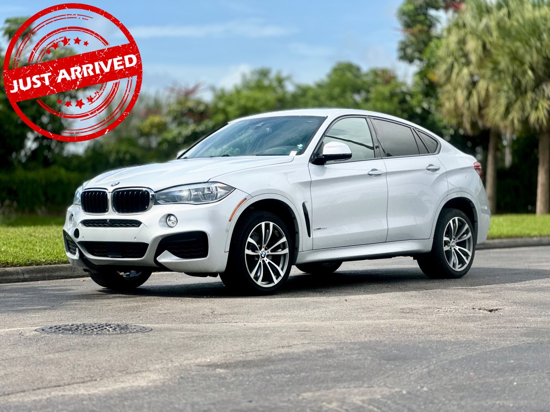 2019 BMW X6