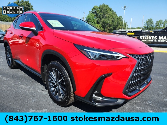 2025 Lexus NX
