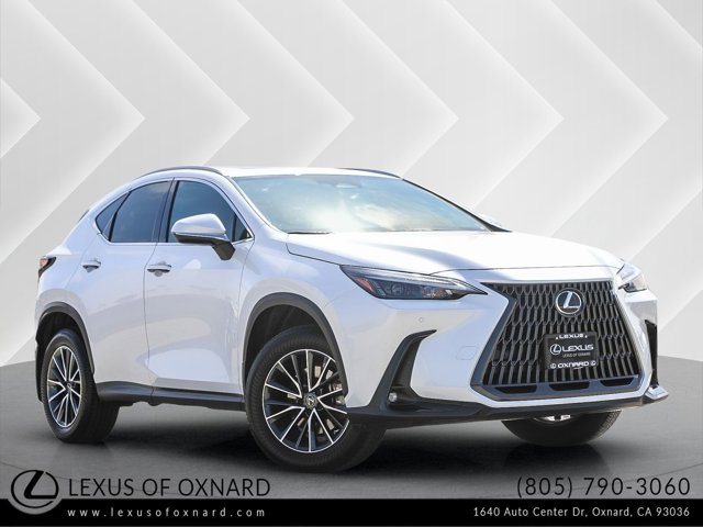 2024 Lexus NX