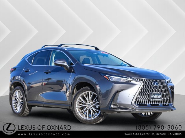 2025 Lexus NX
