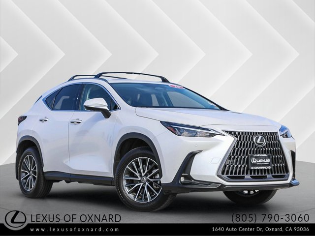 2025 Lexus NX