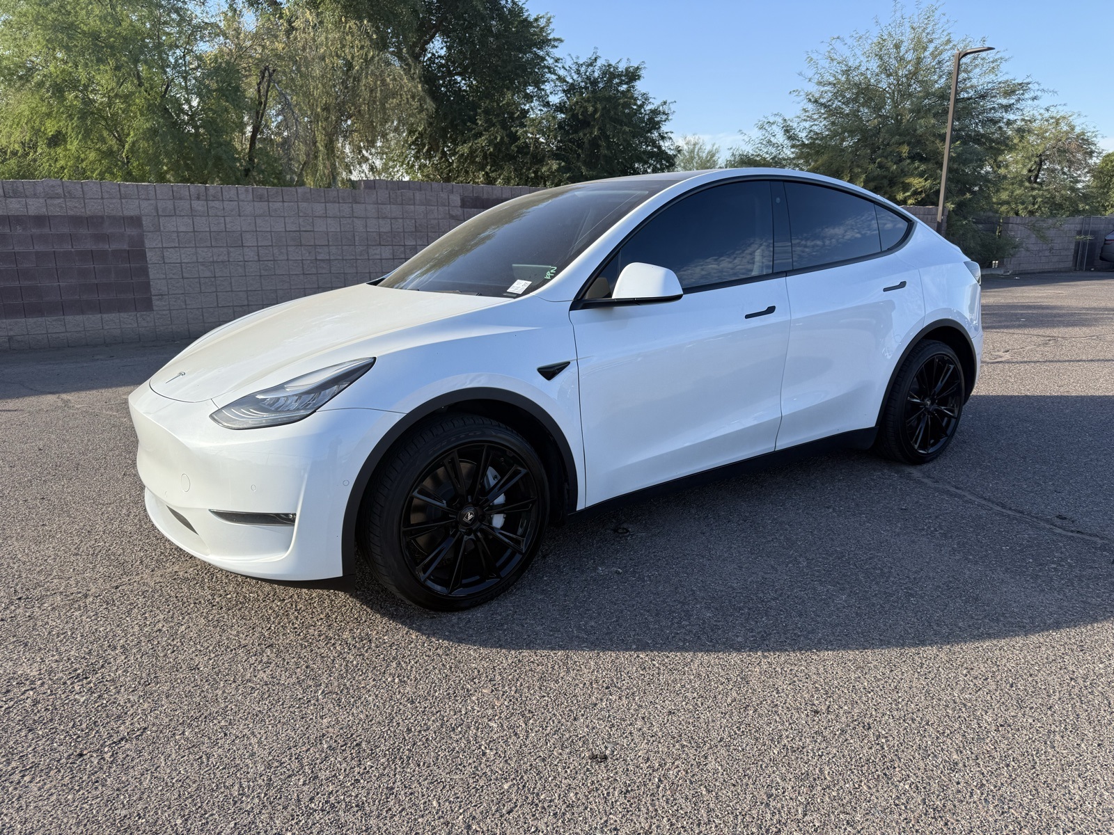 2020 Tesla Model Y