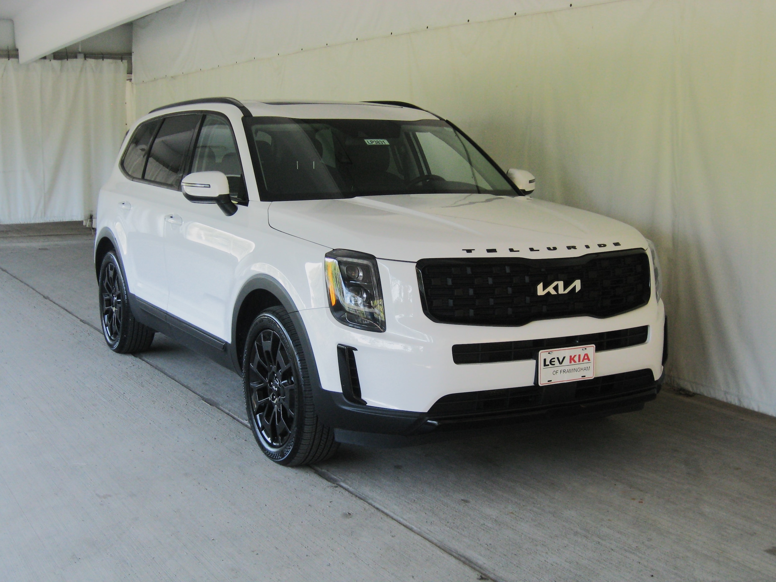 2022 Kia Telluride