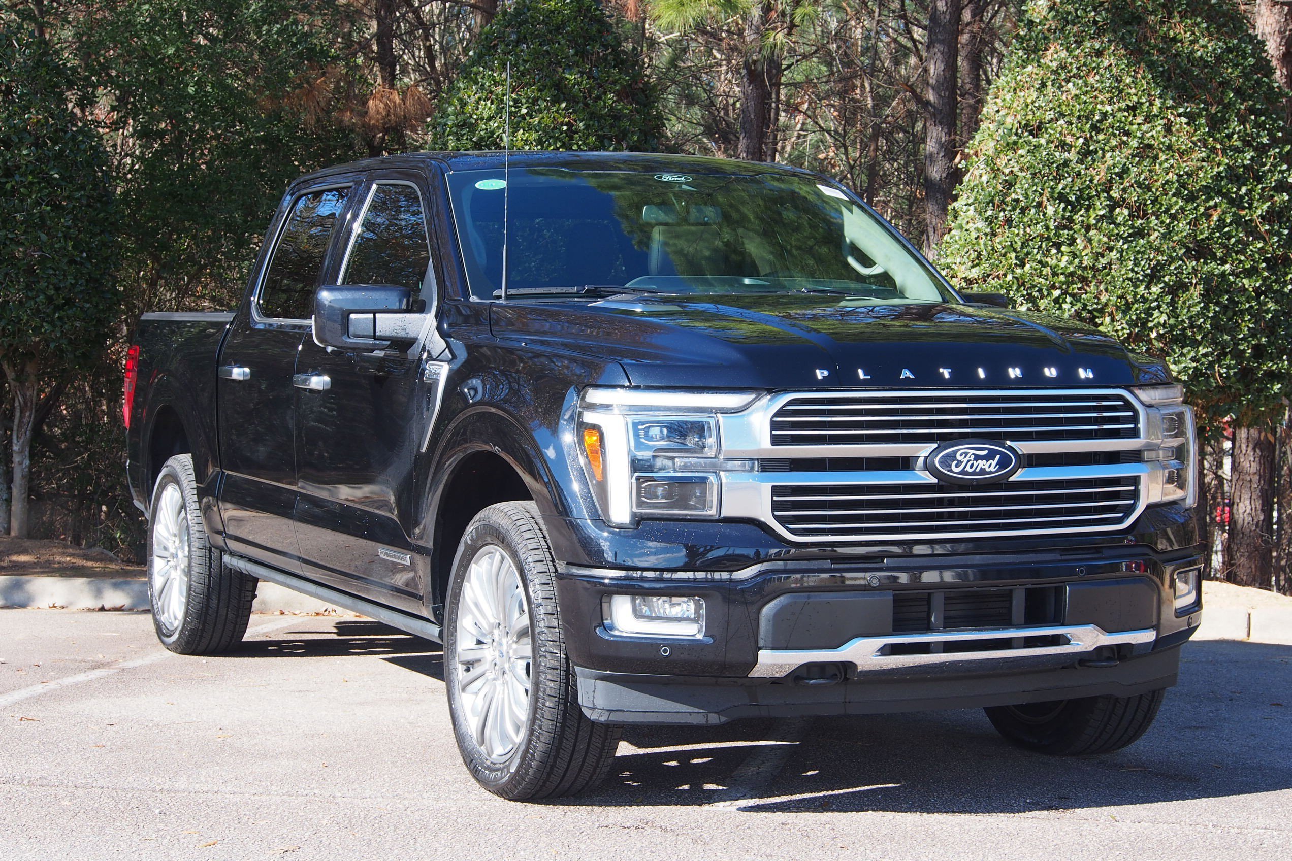 2025 Ford F-150 Platinum