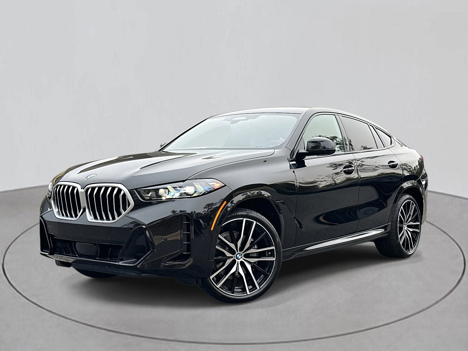 2026 BMW X6