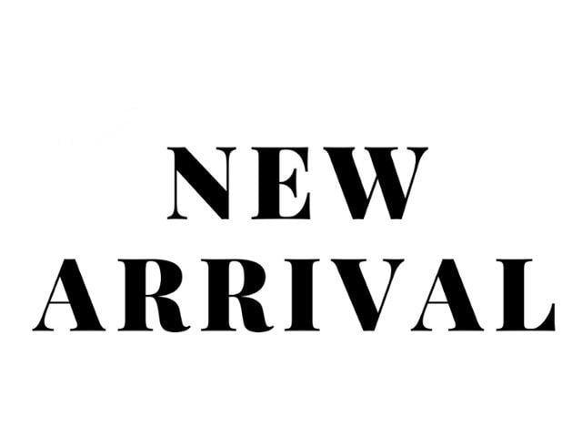 2025 Ram ProMaster Cargo Van RAM PROMASTER 1500 TRADESMAN CARGO VAN LOW ROOF 118' WB