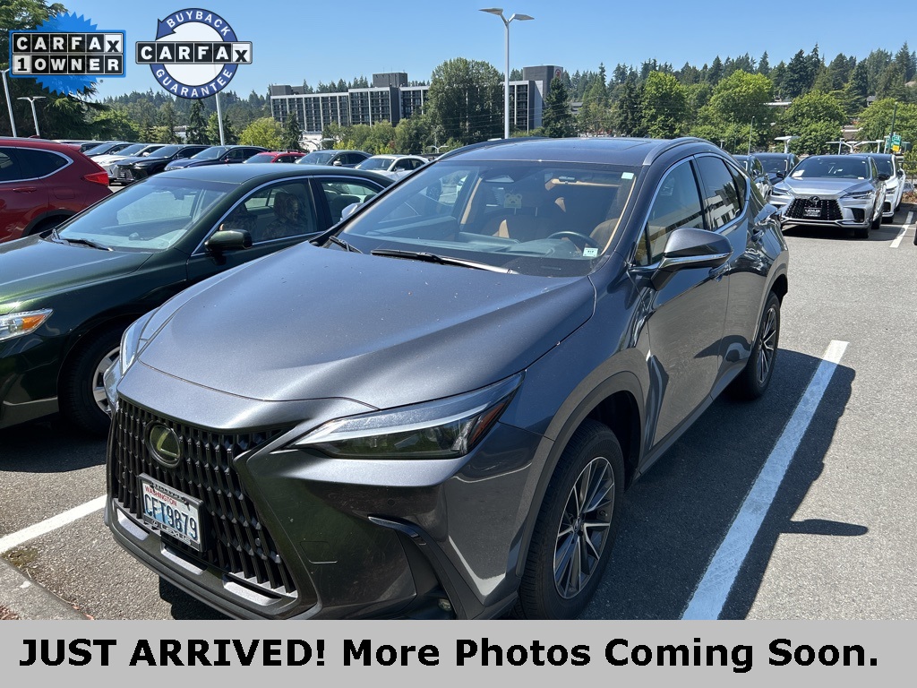 2023 Lexus NX