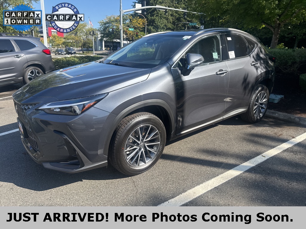 2025 Lexus NX