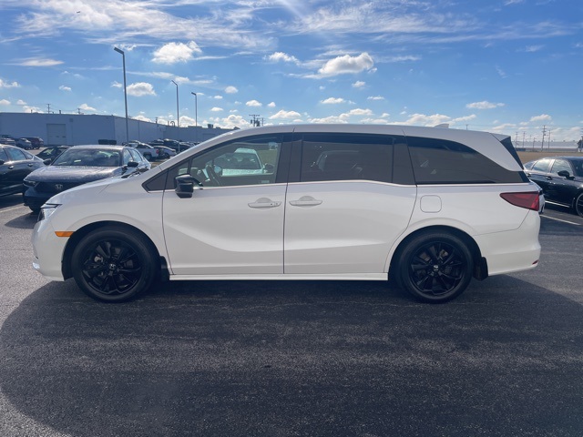 2024 Honda Odyssey Sport
