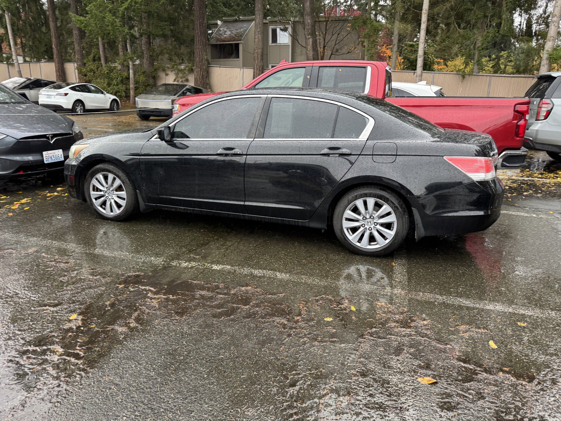 2011 Honda Accord Sdn