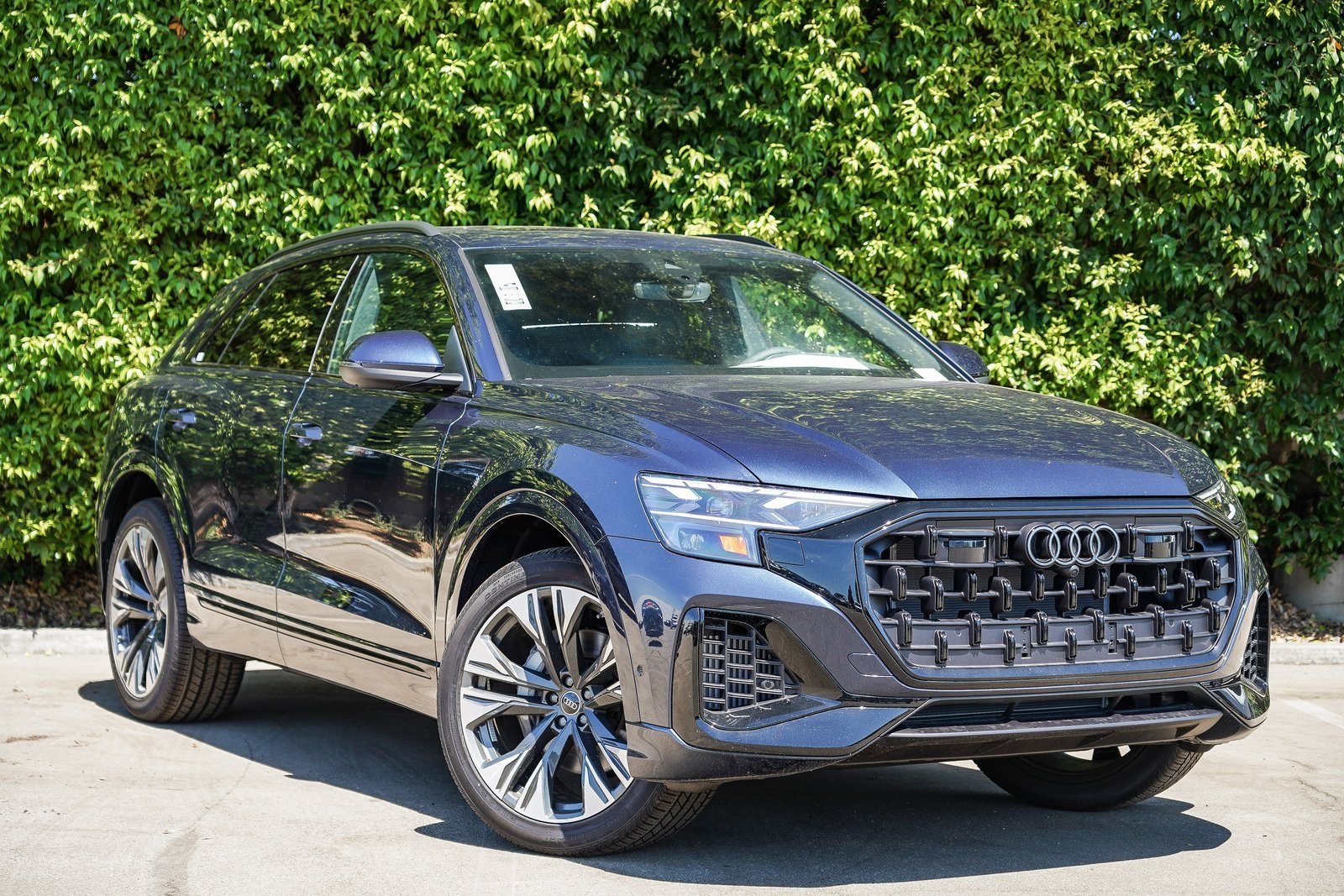 2025 Audi Q8