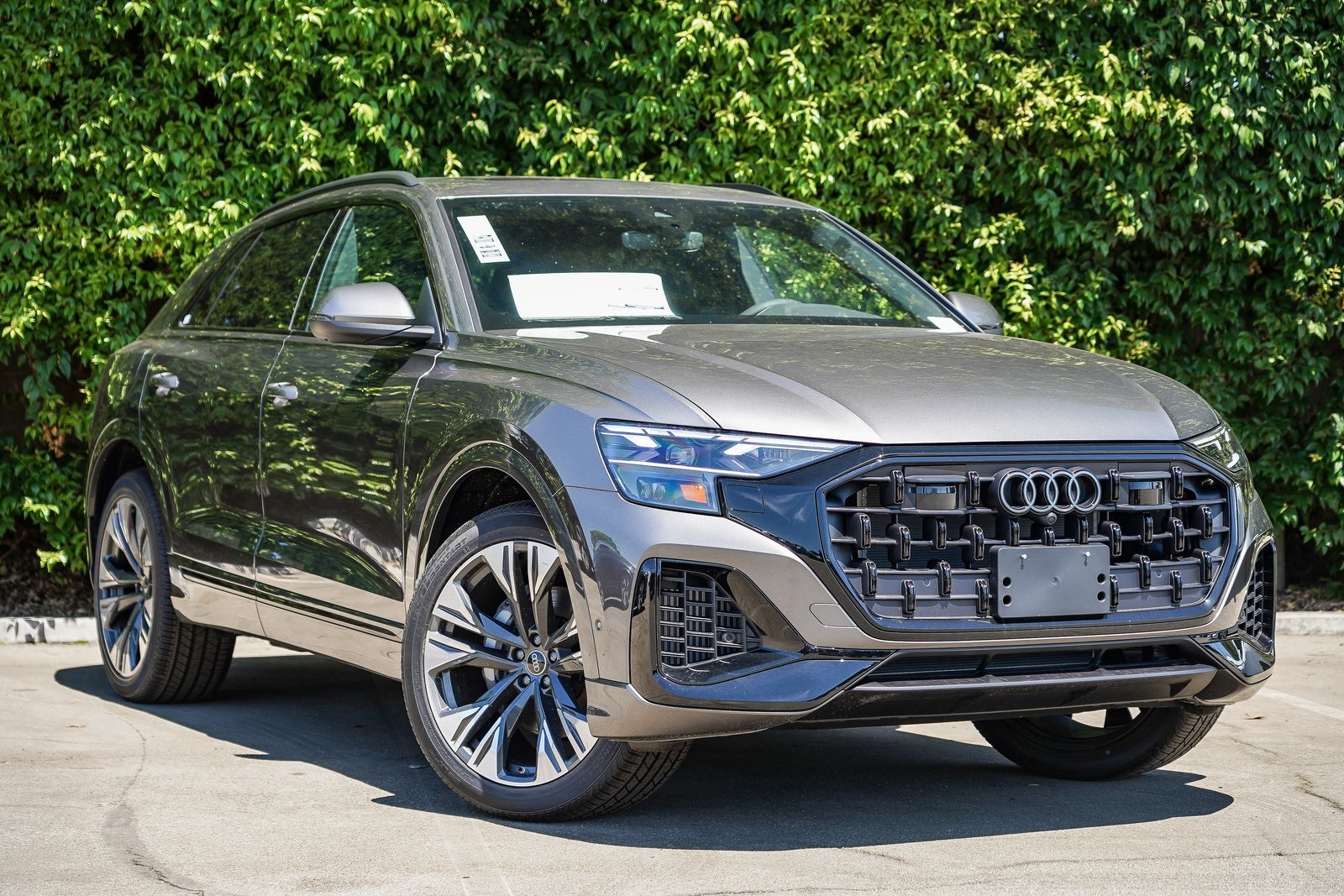 2025 Audi Q8