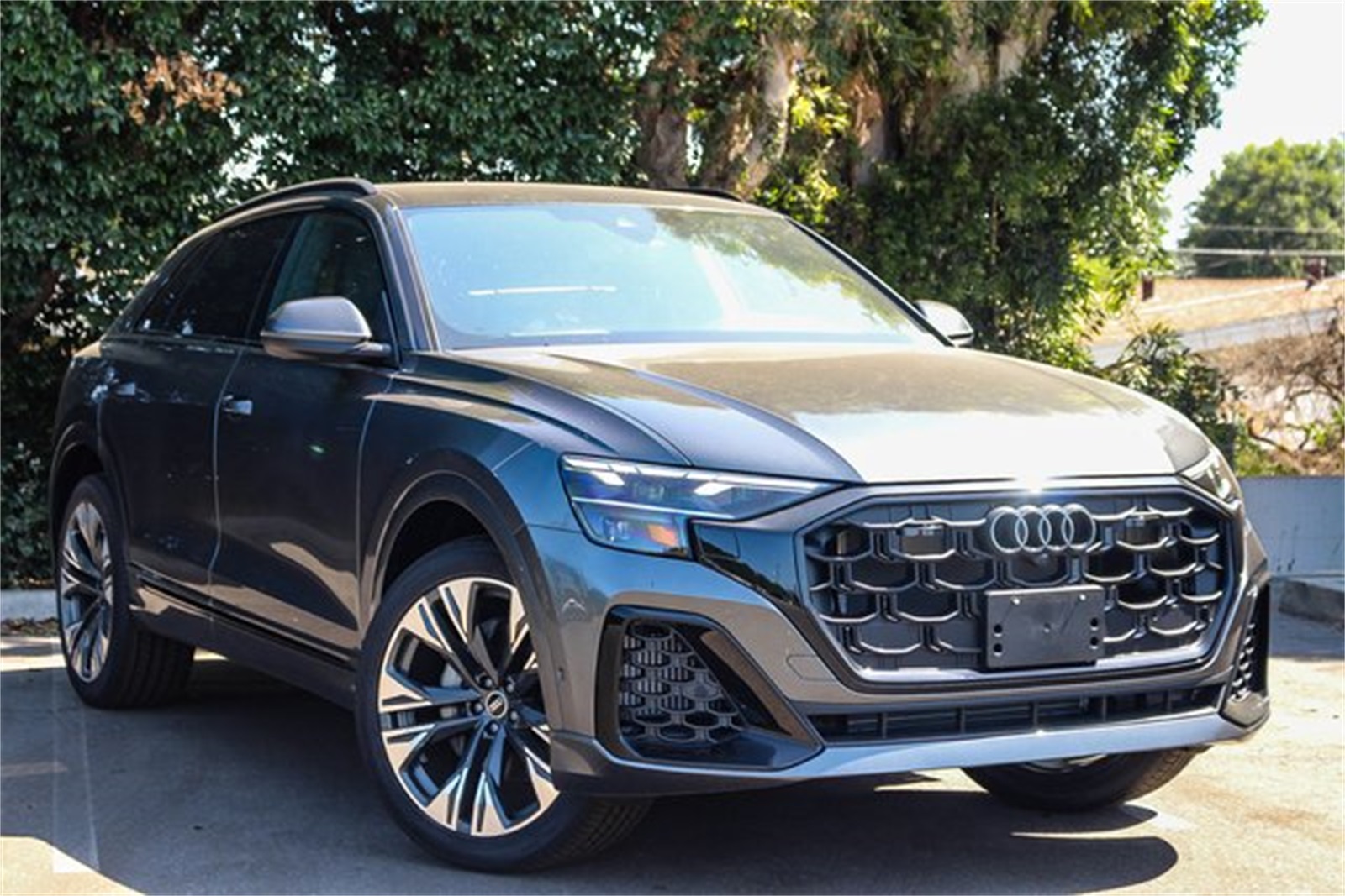2025 Audi Q8