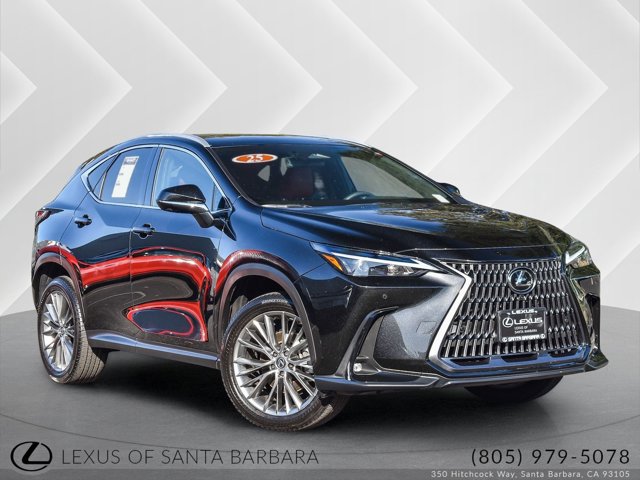 2025 Lexus NX