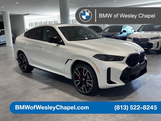2026 BMW X6