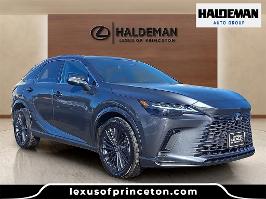 2025 Lexus RX with gray Exterior