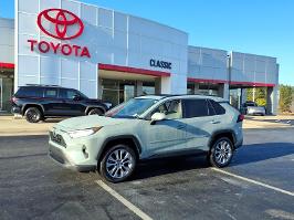 2019 Toyota RAV4 with Lunar Rock Exterior