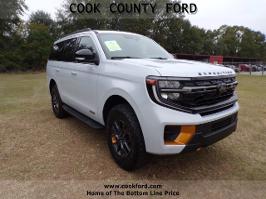 2025 Ford Expedition with Silver Exterior