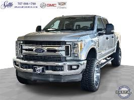 2017 Ford Super Duty F-250 SRW with Ingot Silver Metallic Exterior