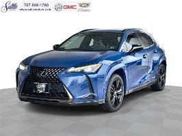 2021 Lexus UX UX 250h