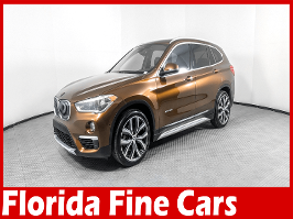 2017 BMW X1 with Chestnut Bronze Metallic Exterior