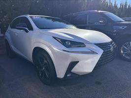 2020 Lexus NX with White Exterior