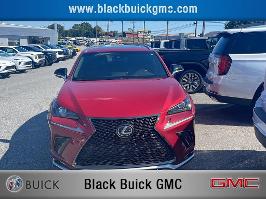 2019 Lexus NX with Matador Red Mica Exterior
