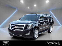 2019 Cadillac Escalade ESV with black raven Exterior